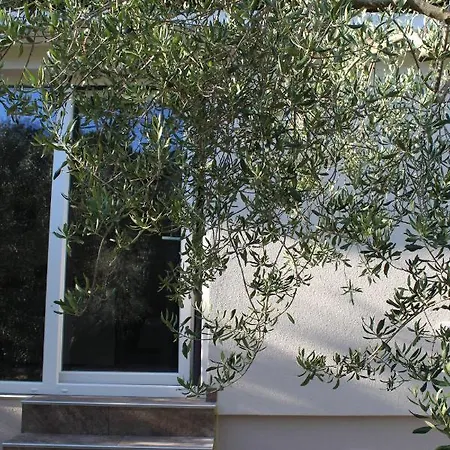 Apartamento Ada *